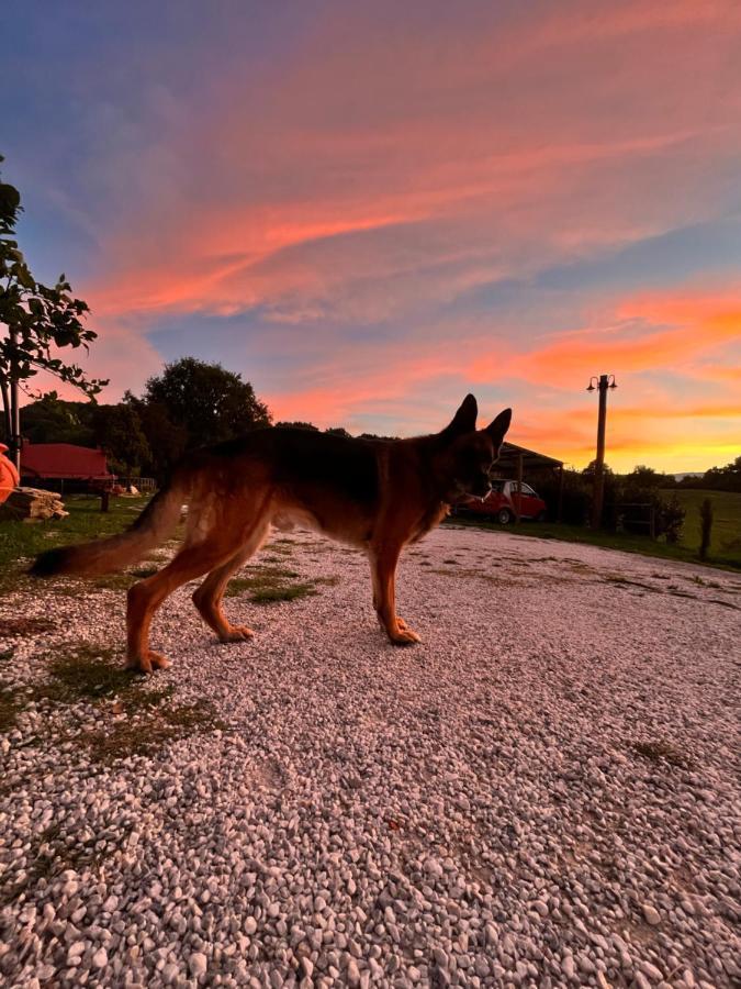 Podere Il Sasso Barberino di Mugello Exteriér fotografie